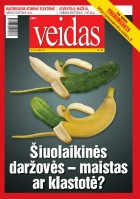 13virselis2011