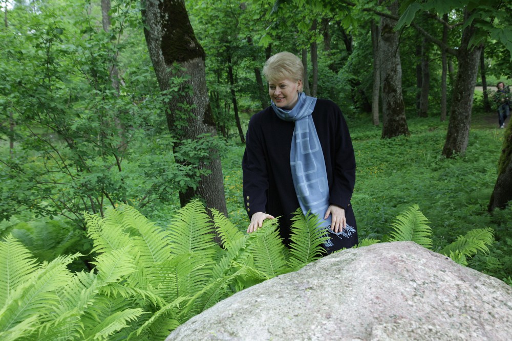 Sodybos miškuose nedygs