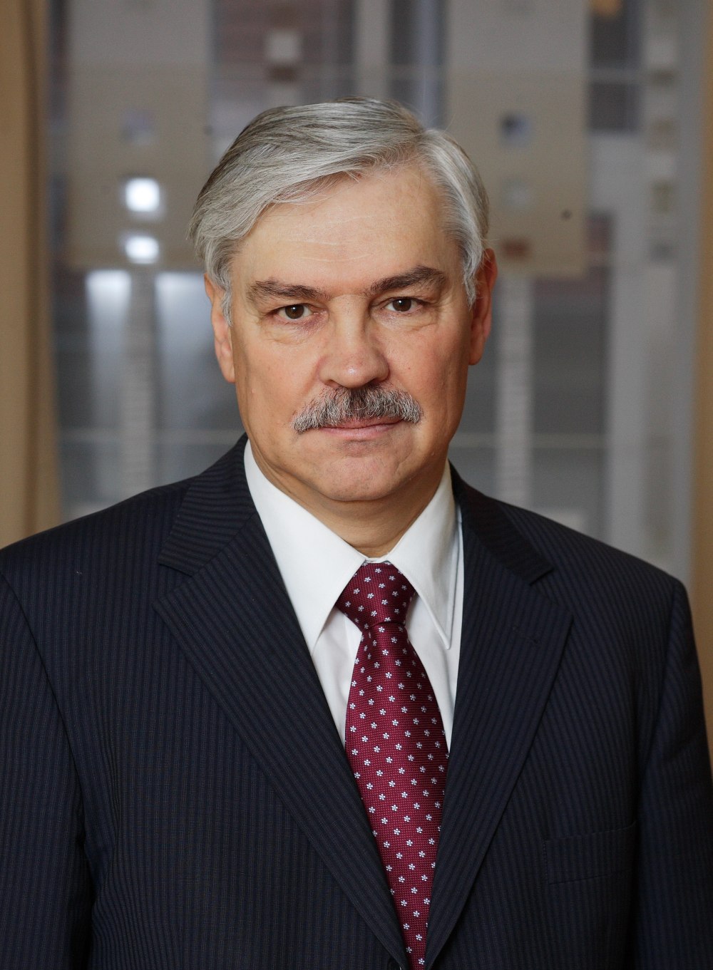 Kuo grįsti šešeri Lietuvos metai Europos Sąjungoje