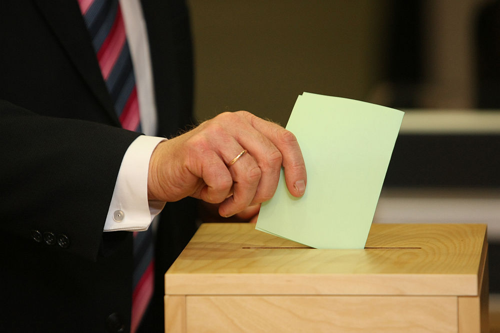 Į žabangas nepartiniams pateko patys parlamentarai