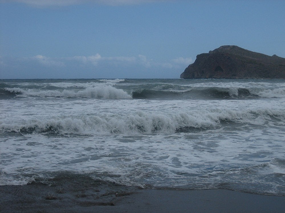 Miršta ir augmenija, ir gyvūnija