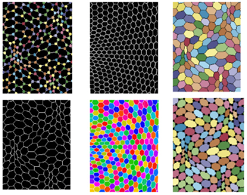 Nobelio premija pademonstravo protų nuotėkį iš Rusijos