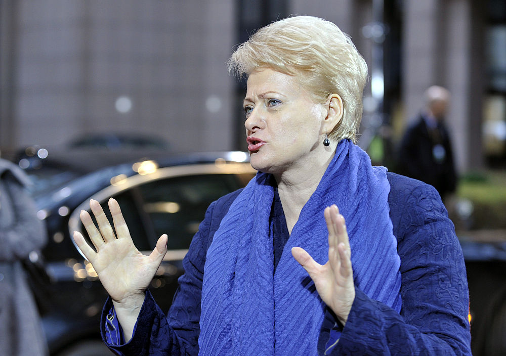 Prezidentė vetavo įstatymą, numatantį mažesnes nei ji siūlė baudas už sunkius ekonominius nusikaltimus