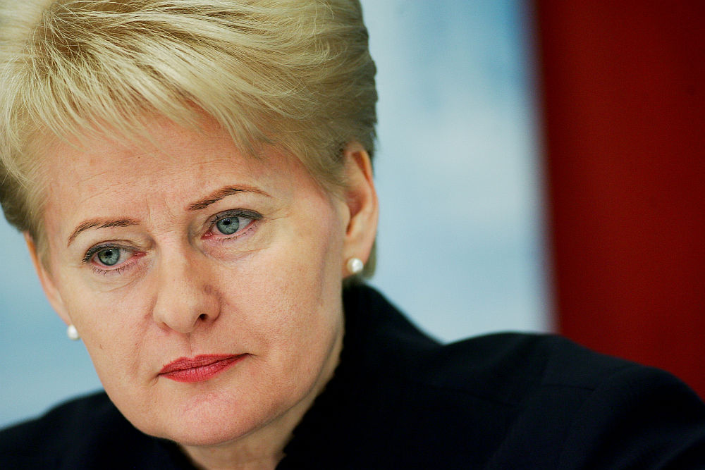 Prezidentė: politikai kovoja dėl pinigų