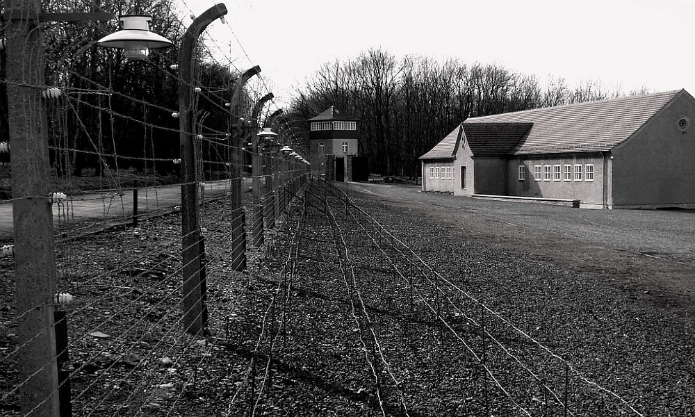 Pragaras Skroblų miške