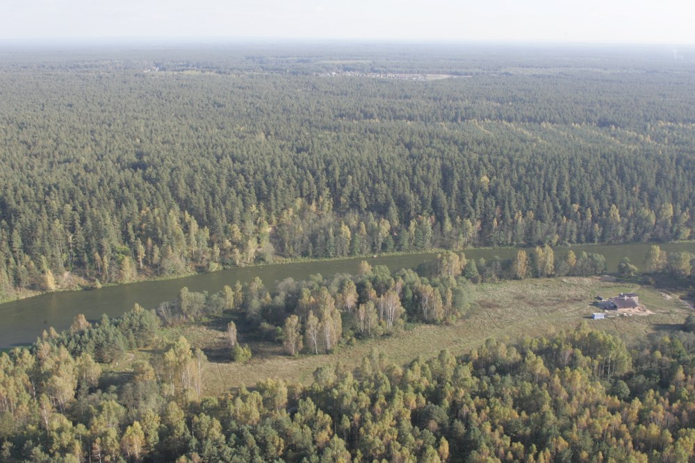 Valstybiniai miškai – interesų kryžkelėje