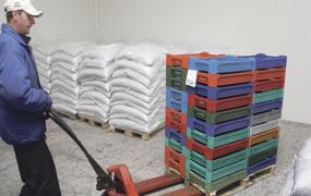 Vyriausybė pradėjo diskusijas, kaip bausti nelegaliai dirbančius gyventojus