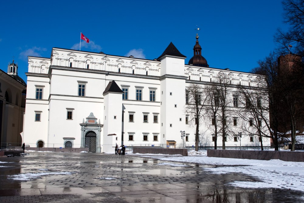 Valdovų rūmus jau reikia konservuoti