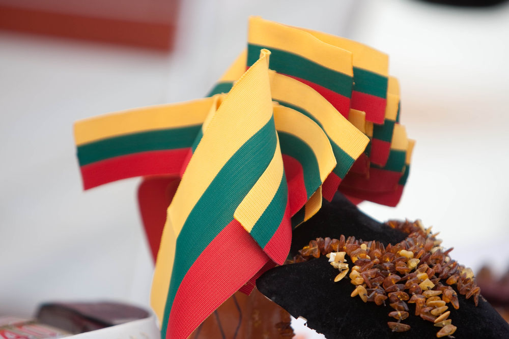 Patriotizmą siūloma skatinti baudomis